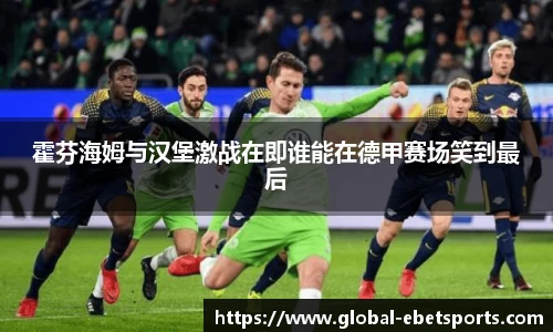 霍芬海姆与汉堡激战在即谁能在德甲赛场笑到最后